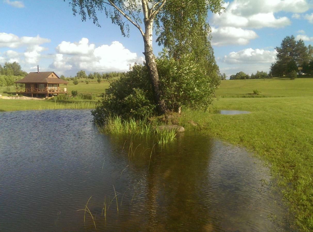 Mikalojiskis Inturke Buitenkant foto